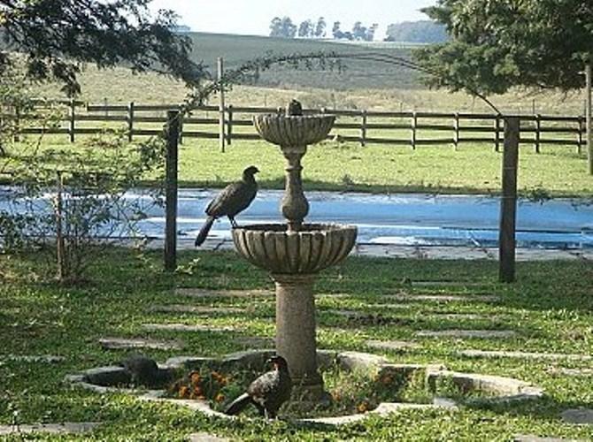 Pousada Chacara Das Roseiras Bagé Exteriör bild